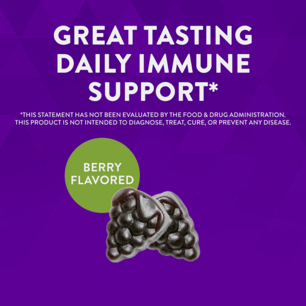 Nature's Way Sambucus Gummies - Image 2