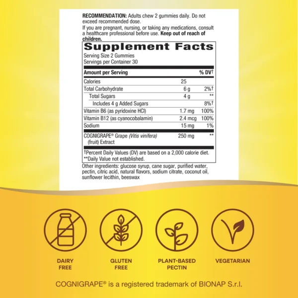 Nature's Way Brain Fuel Gummy - Image 4