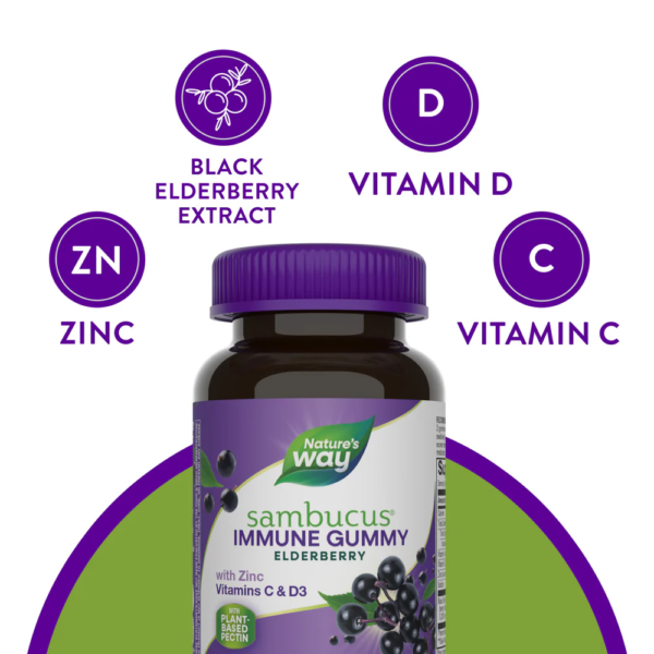 Nature's Way Sambucus Gummies - Image 3