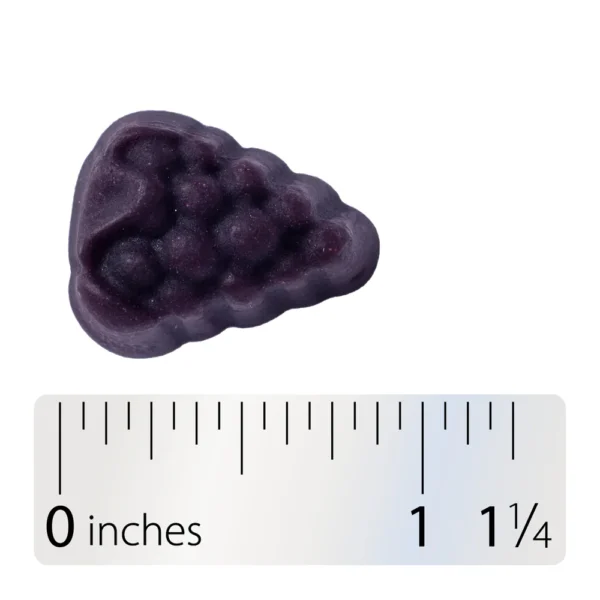Nature's Way Brain Fuel Gummy - Image 2