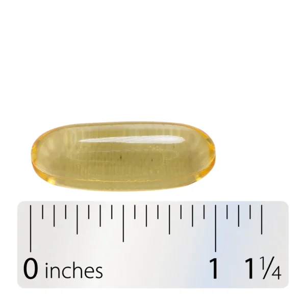 Nature's Way Mega-DHA Premium Fish Oil - Image 2