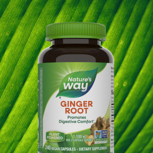 Herbs_Feature-Ginger_Root